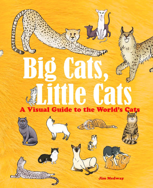 Big Cats, Little Cats: A Visual Guide To The World's Cats