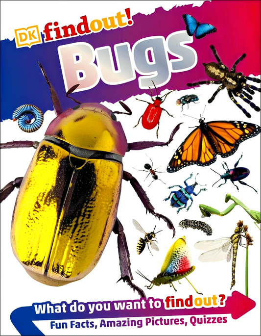DK Findout! Bugs