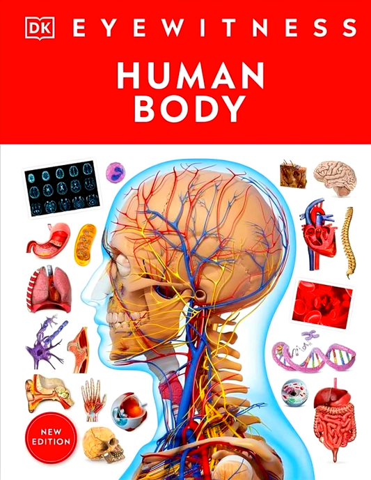 DK Eyewitness: Human Body