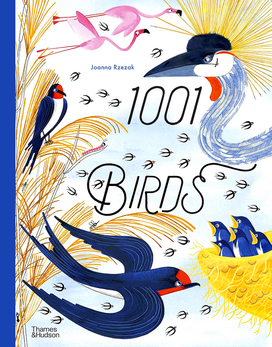 1001 Birds (1001 Series)