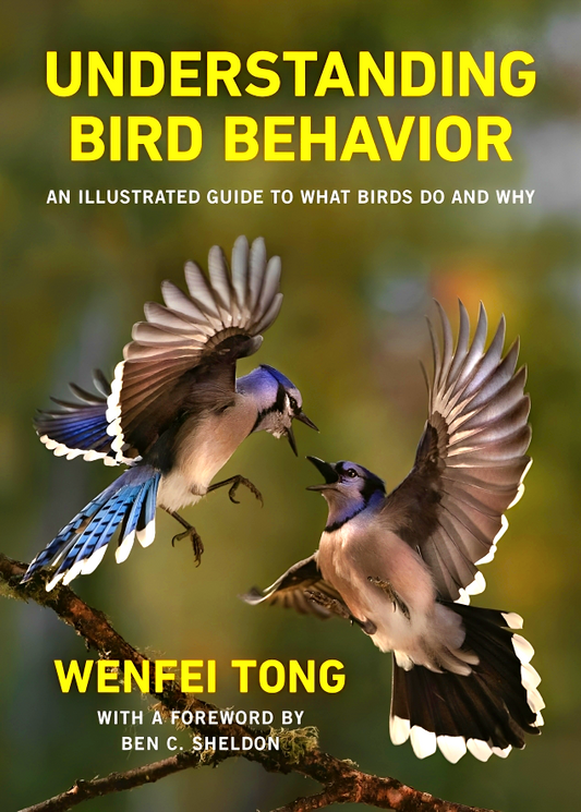 Understanding Bird Behavior: An Illustrated Guide to What Birds Do and Why