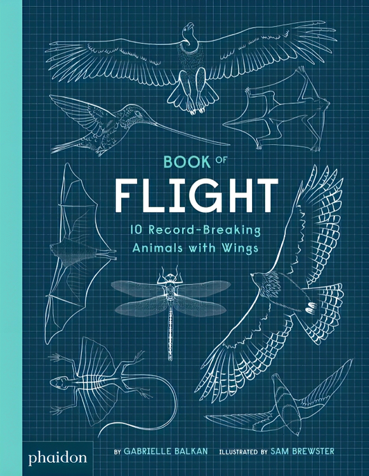 Book of Flight: 10 Record-Breaking Animals with Wings