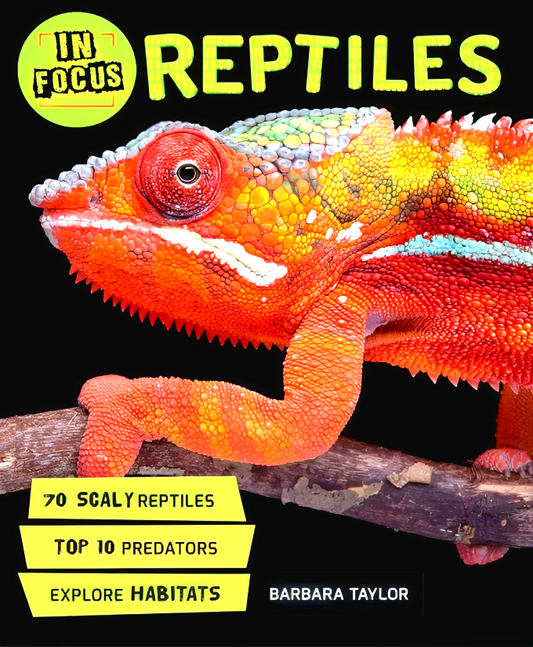 In Focus : Reptiles