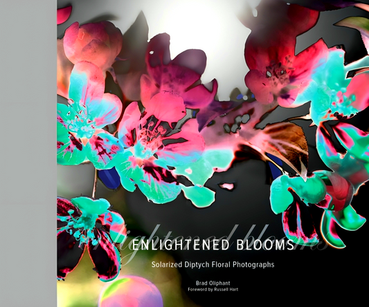 Enlightened Blooms: Solarized Diptych Floral Photographs