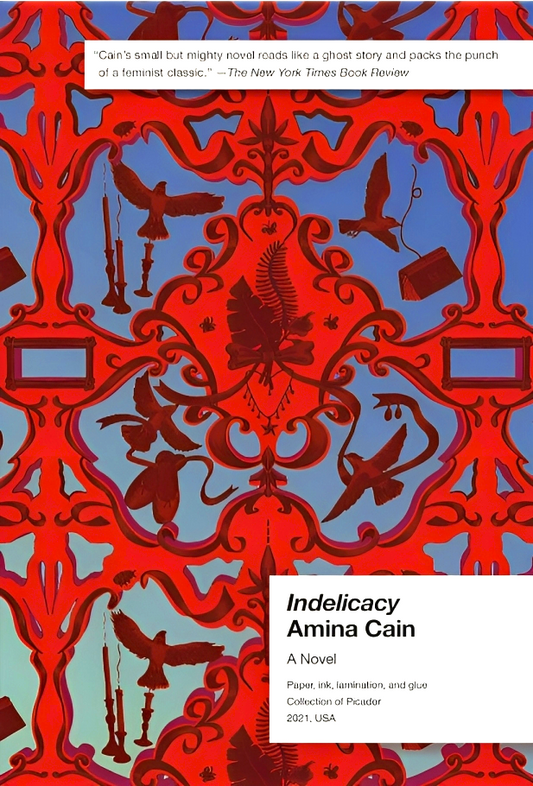 Indelicacy: A Novel