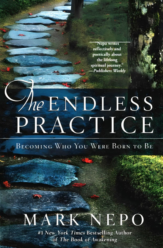 [Flash Sale  RM 13.93 from  1-6 May 2024] The Endless Practice: Becoming Who You Were Born To Be