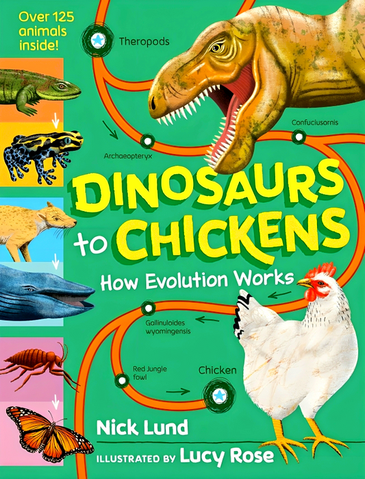 Dinosaurs To Chickens: How Evolution Works