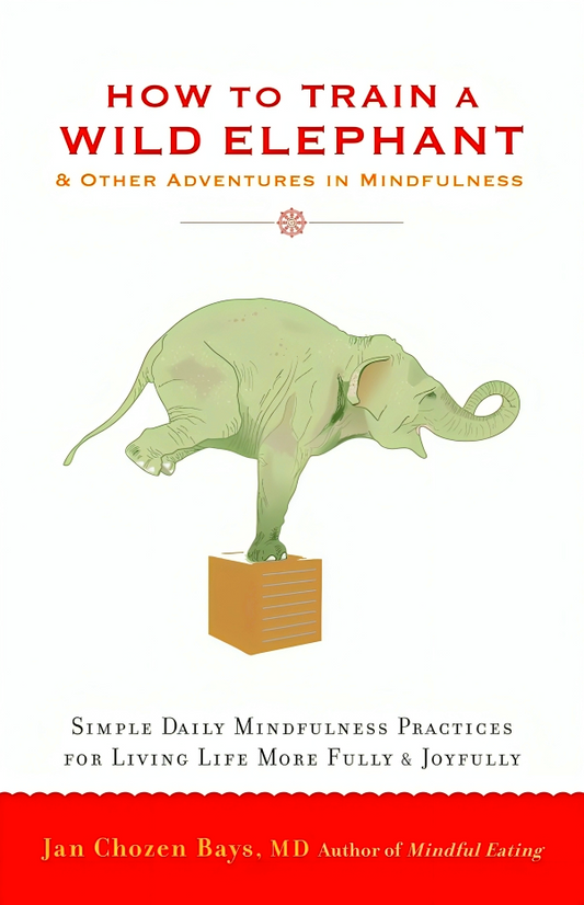 How To Train A Wild Elephant: And Other Adventures In Mindfulness
