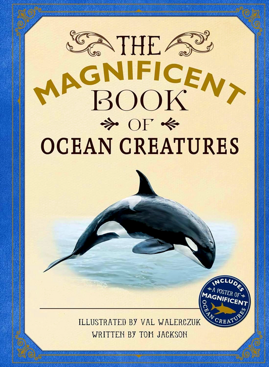 The Magnificent Book Of Ocean Creatures
