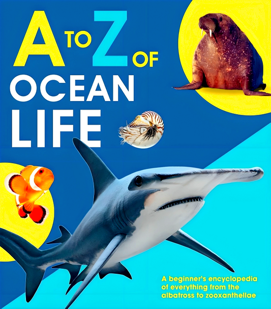 A To Z Of Ocean Life