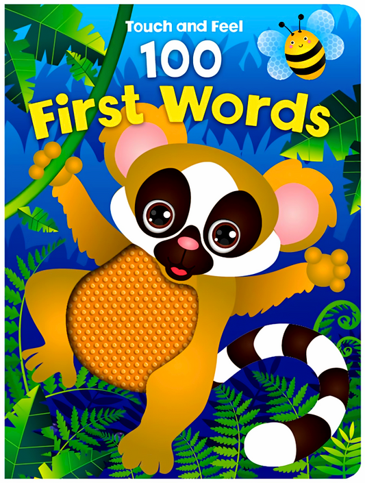 Touch And Feel 100 First Words