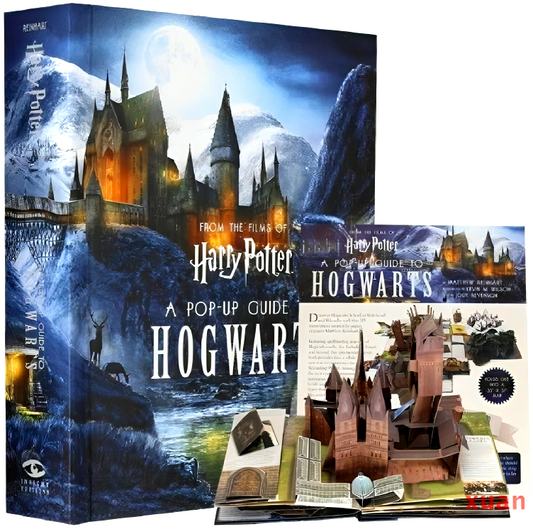 Deluxe Pop-Up Harry Potter (Dented)