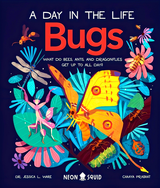 A Day In The Life: Bugs - What Do Bees, Ants, and Dragonflies Get Up to All Day?