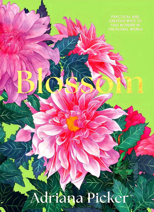 Blossom: Practical and Creative Ways to Find Wonder in the Floral World