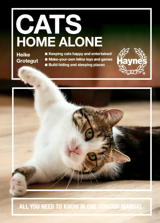 Cats Home Alone: All you need to know in one concise manual