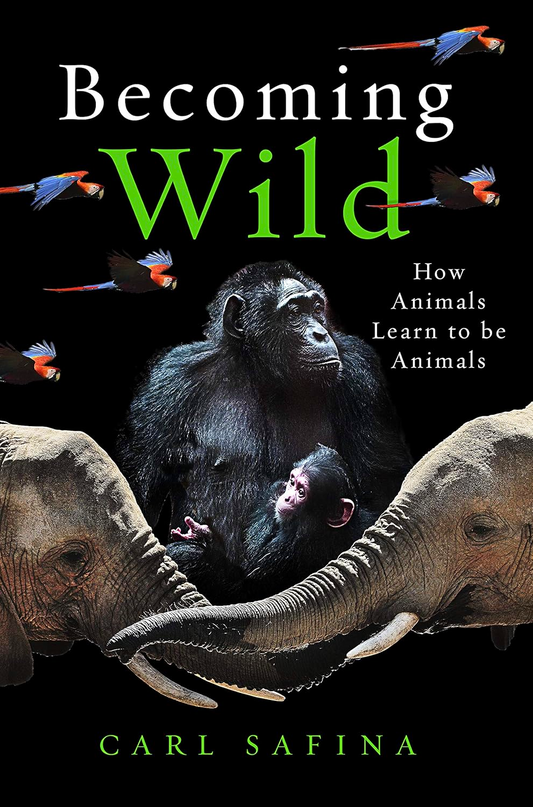 Becoming Wild
