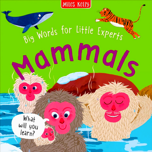 Big Words for Little Expert Mammals