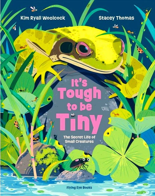 It's Tough To Be Tiny: The Secret Life Of Small Creatures