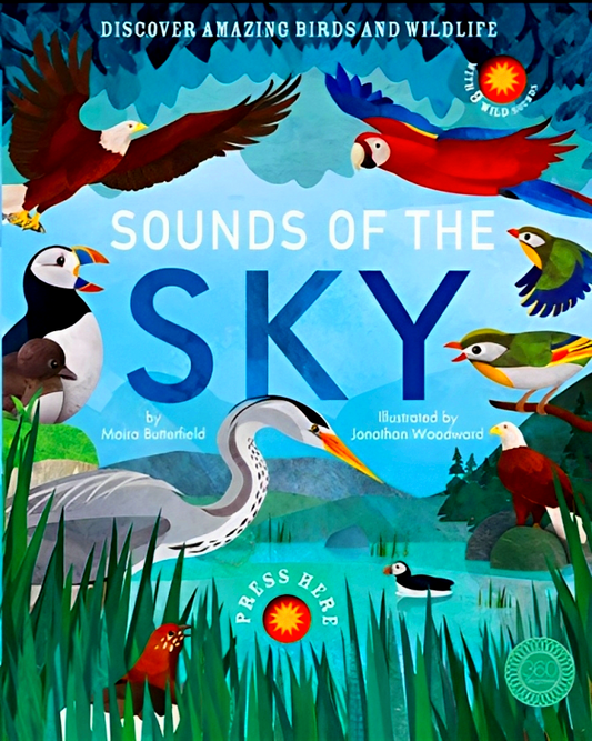 Sounds Of The Skies (Sound Book)