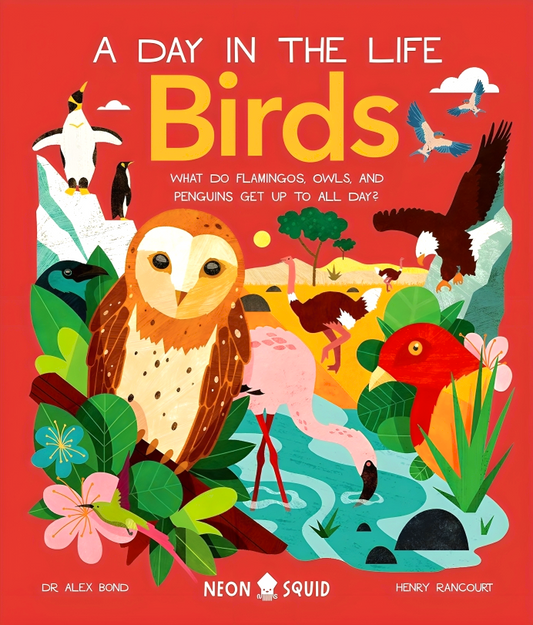 Birds (A Day in the Life): What Do Flamingos, Owls, and Penguins Get Up To All Day?