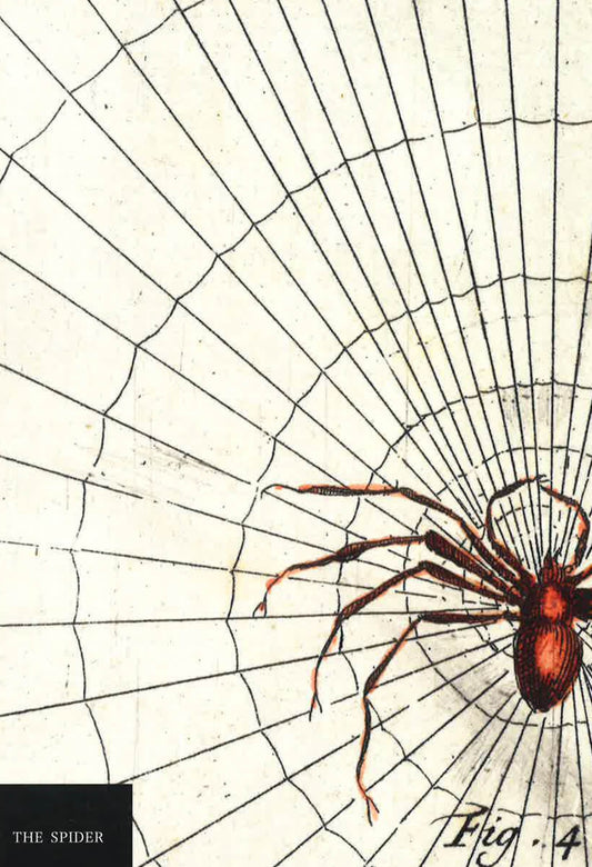 The Spider Notebook