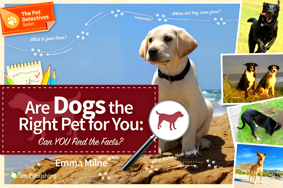 Dog Petfinder Search Dogs To Find Lost Pets Dog Harness