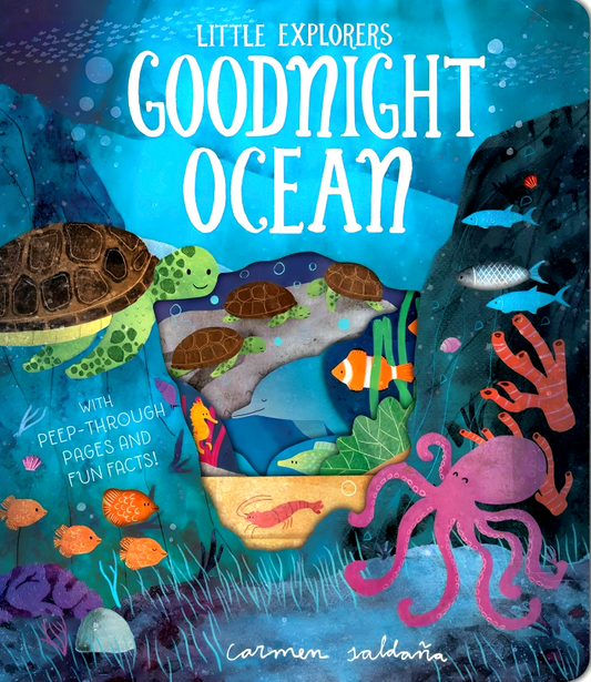 Goodnight Ocean