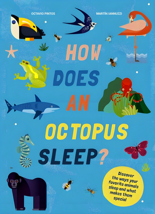 How Does An Octopus Sleep?: Discover The Ways Your Favorite Animal Sleep