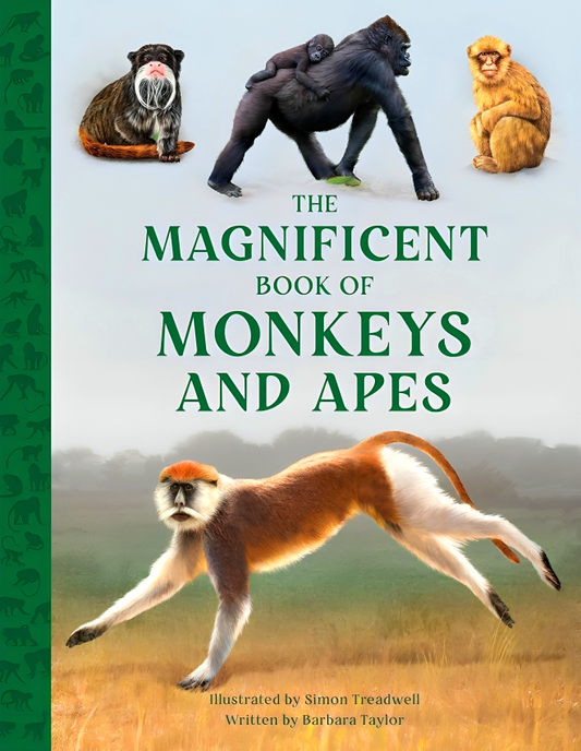 The Magnificent Book Of Monkeys And Apes