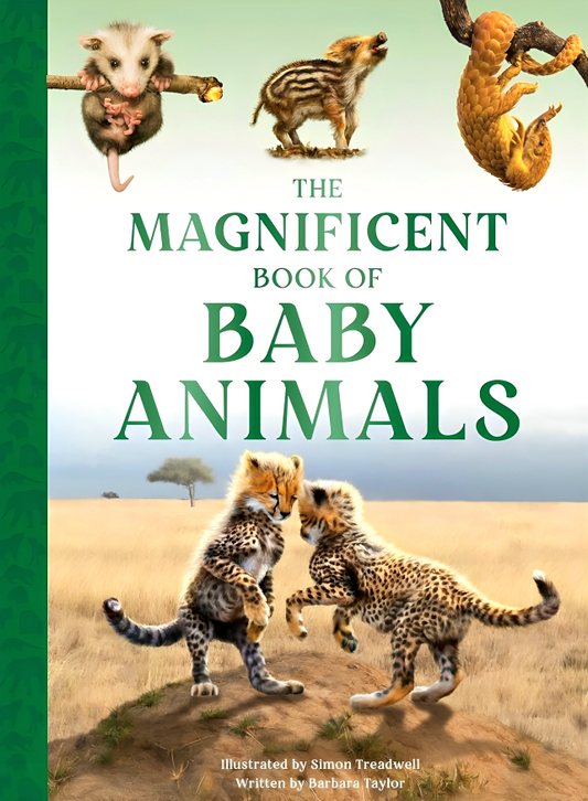 The Magnificent Book Of Baby Animals