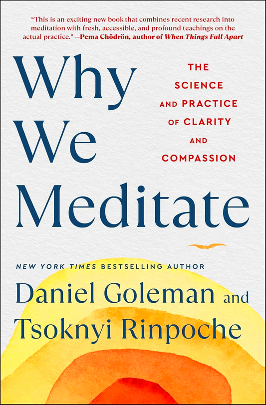 Why We Meditate: The Science And Practice Of Clarity And Compassion