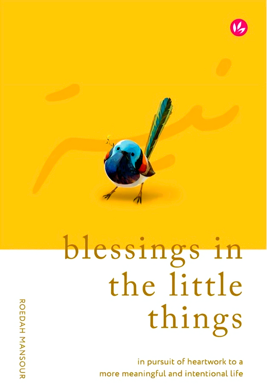Blessings in the Little Things: In Pursuit of Heartwork to a More Meaningful and Intentional Life (Hardcover)