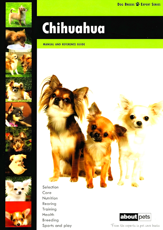 Chihuahua