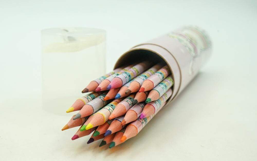 24 Colour Pencils - Llama