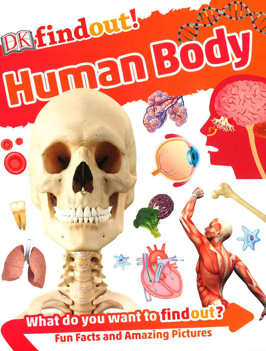 Find Out!: Human Body