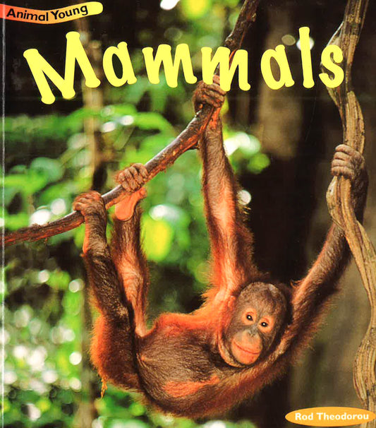 Mammals