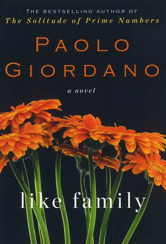 Like Family: A Novel