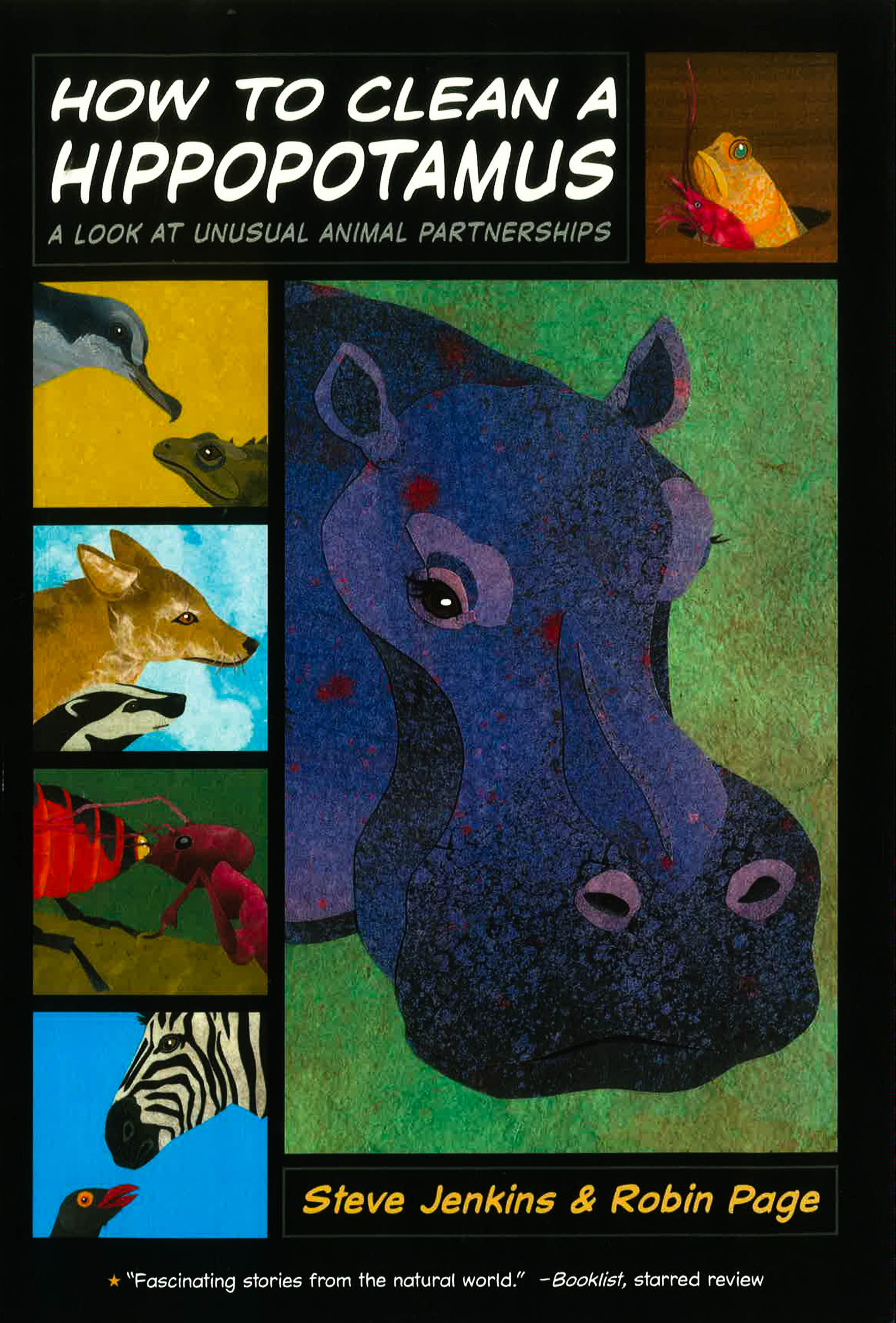 How To Clean A Hippopotamus: A Look At Unusual Animal Partnerships