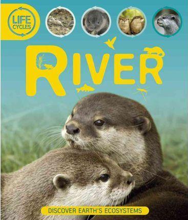 River (Life Cycles)