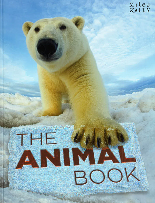 [Flash Sale  RM 17.43 from  1-6 May 2024] The Animal Book