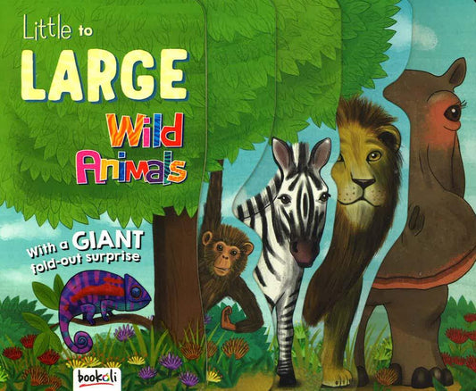 Little To Large: Wild Animals