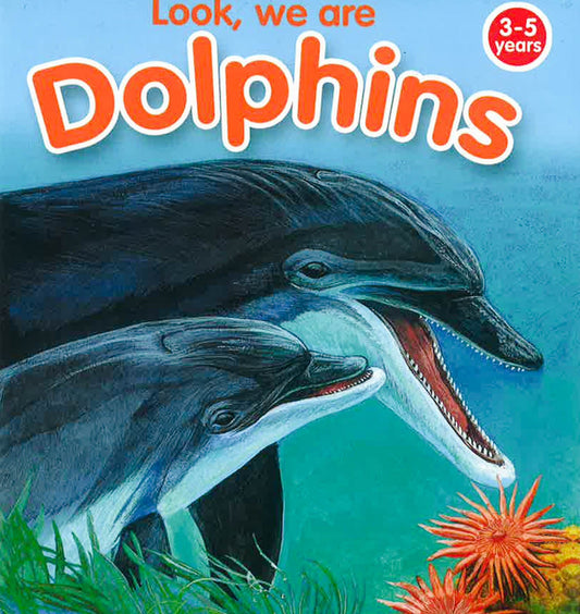Look, We Are Dolphins
