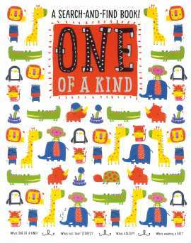 A Search and Find Book! - One Of a Kind