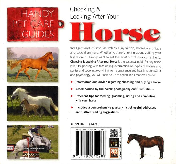 Choosing & Looking After Your Horse
