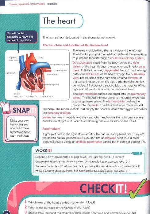 Gcse 9-1 Biology Aqa Revision Guide