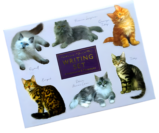 Fliplid Boxed Notecard Set - Pat Mac Cats