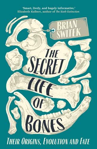 The Secret Life Of Bones