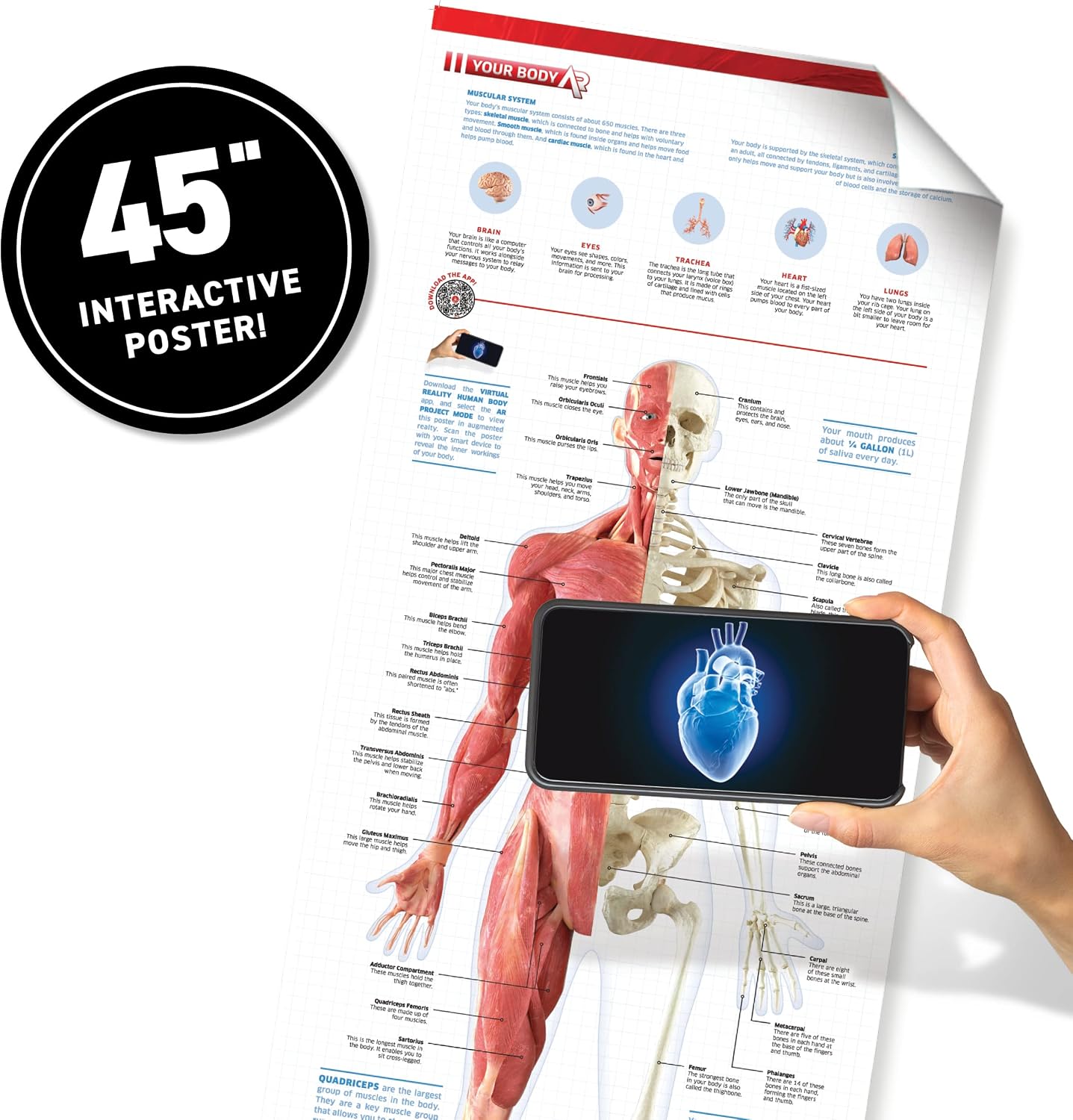 Abacus Brands Virtual Reality Human Body Gift Box - Kids STEM Kit, Ages 8+ – book cover