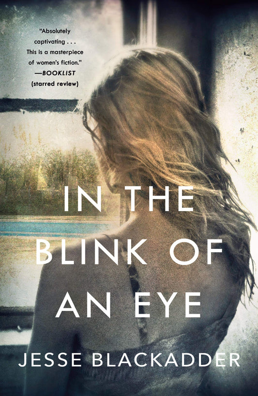 In the Blink of an Eye: A Novel