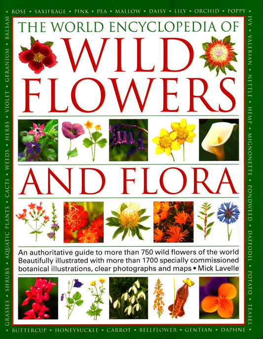 Wild Flowers & Flora